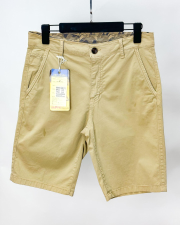 Шорты мужские (9031)