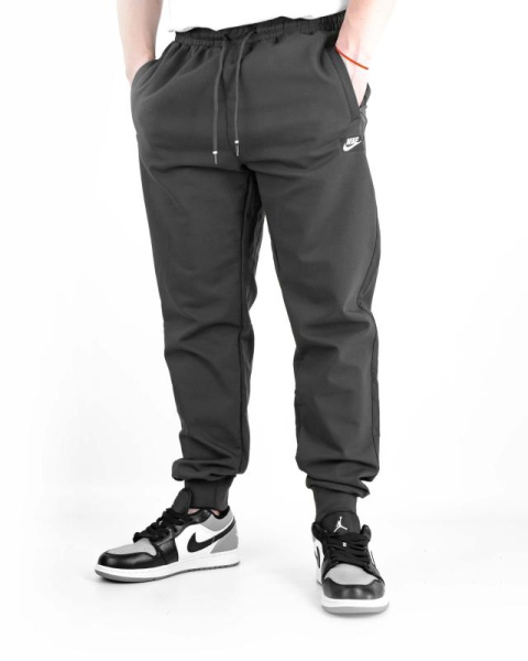 Брюки спортивные мужские Nike теплые (3803)