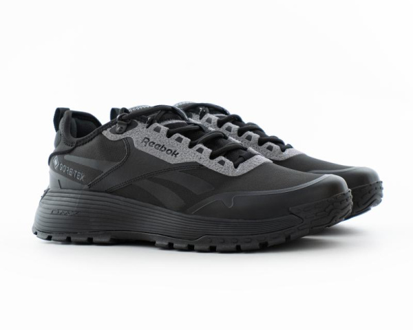 Кроссовки Reebok DMX TRAIL GTX (4004-3) [СС]