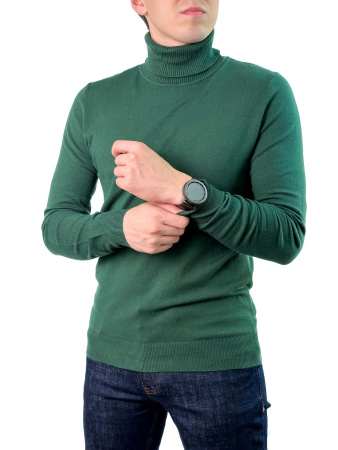 Водолазка мужская (4201)