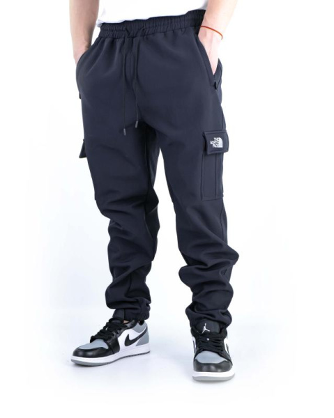 Брюки спортивные мужские The North Face на флисе (0078)