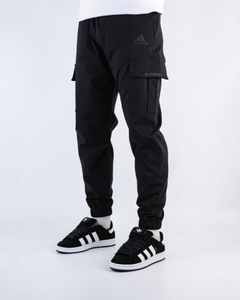 Штаны мужские Adidas Terrex (180)