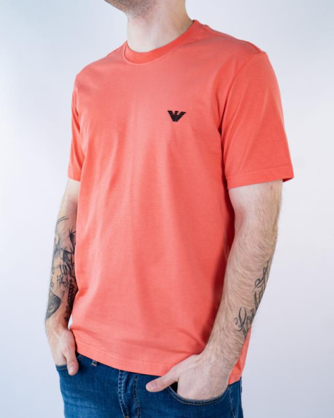 Футболка Emporio Armani (4655)