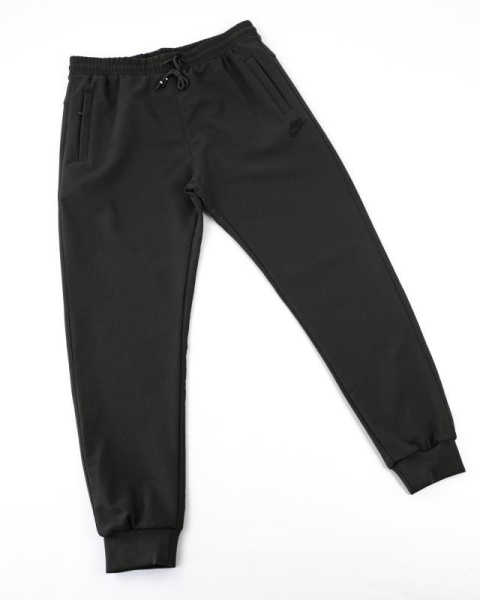 Штаны мужские Nike теплые (38110)