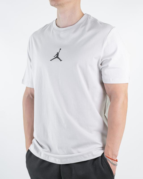 Футболка мужская Air Jordan (Ts-J-2009)