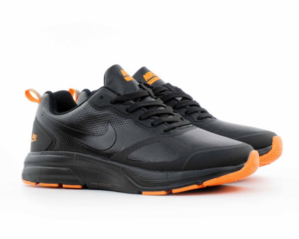 Кроссовки Nike Air Pegasus (302-2) [ВА]