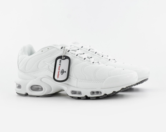 Кроссовки Nike Air Max Plus "White" (242-2В)