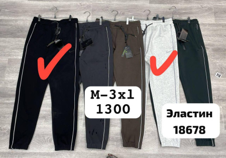 Брюки спортивные Nike (18678)