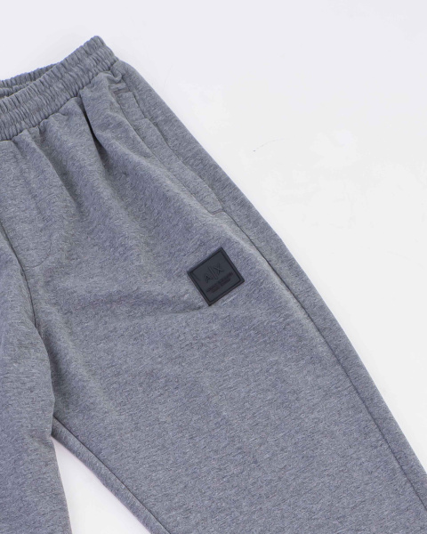 Брюки спортивные мужские Armani Exchange (95-884-А) (M, Серый)