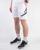 Шорты Air Jordan "Big Logo" (699-100-3) (XL, Белый)