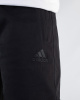 Детальное Изображение Брюки спортивные Adidas (1612)