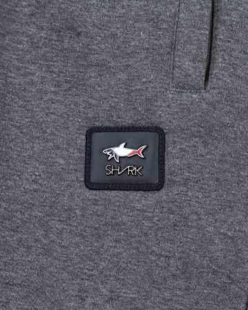 Брюки спортивные Paul Shark на флисе (21506) (XXL, Серый)