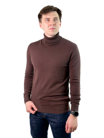 Водолазка мужская (4201) (Коричневый, L)