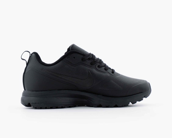 Кроссовки Nike Zoom Pegasus 26X Black Gore-tex Thermo (4051-1) от магазина vikingsmen.ru