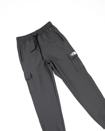 Брюки спортивные мужские The North Face на флисе (0078) (XXXL, Серый)