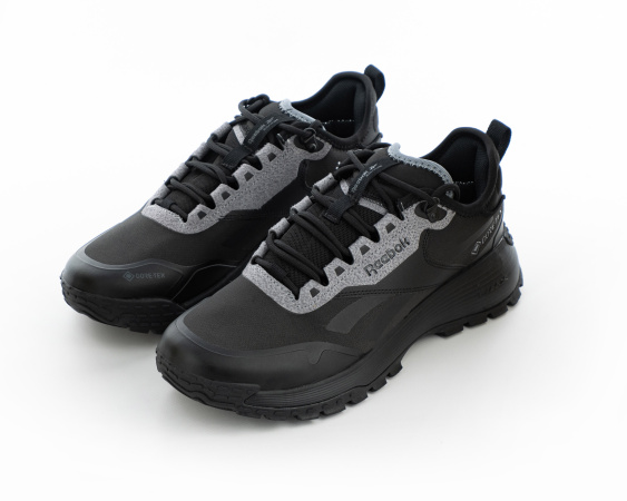 Кроссовки Reebok DMX TRAIL GTX (4004-3) от магазина vikingsmen.ru
