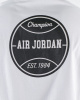 Футболка мужская Air Jordan (Ts-J-2159) (XXL, Белый)
