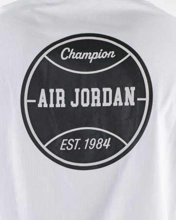 Футболка мужская Air Jordan (Ts-J-2159) (XXL, Белый)