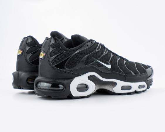 Кроссовки Nike Air Max Plus GS Sequoia (917-18) от магазина vikingsmen.ru