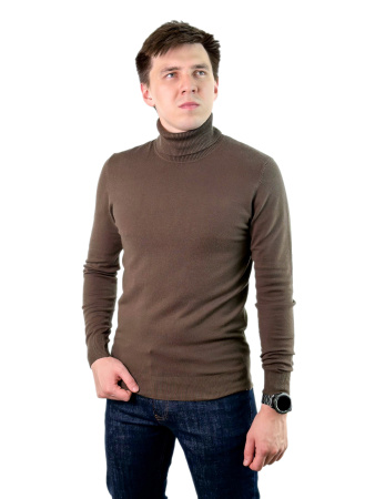 Водолазка мужская (4201) (Светло-коричневый, L)