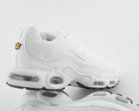Кроссовки Nike Air Max Plus "White" (242-2В) от магазина vikingsmen.ru