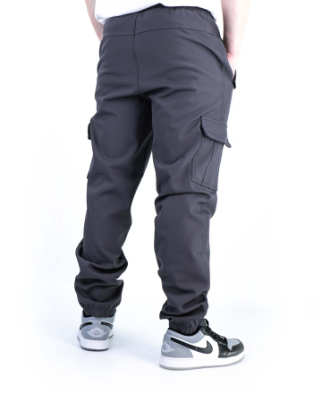 Брюки спортивные мужские The North Face на флисе (0078) (XXXL, Серый)