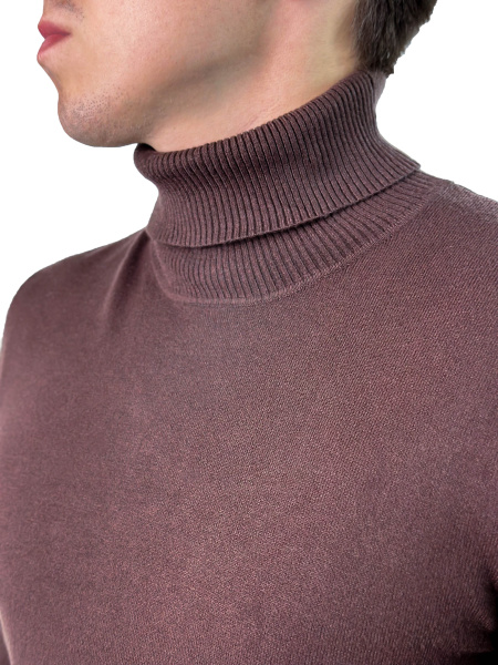 Водолазка мужская (4201) (Коричневый, L)