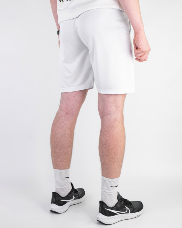 Шорты мужские Nike (699-100-4) (L, Белый/Серый)