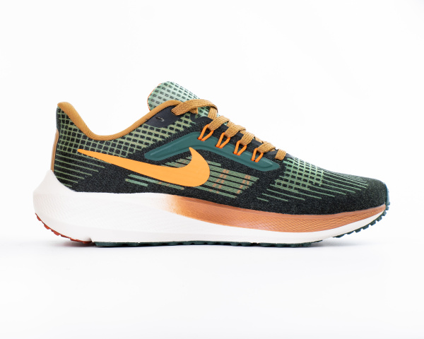 Кроссовки Nike Air Zoom Pegasus 39 A.I.R. Hola Lou (819-4) |AA| от магазина vikingsmen.ru