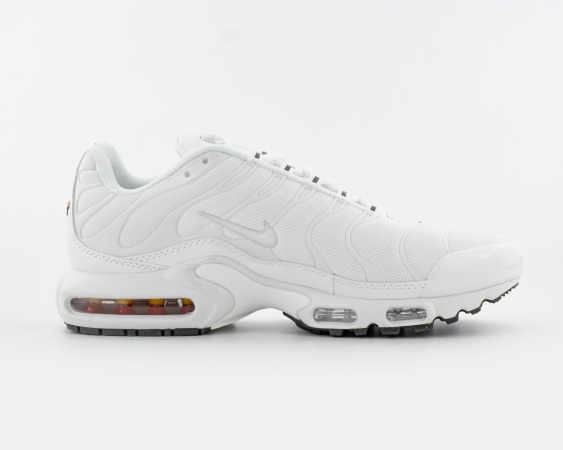 Кроссовки Nike Air Max Plus "White" (242-2В) от магазина vikingsmen.ru