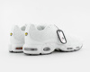 Кроссовки Nike Air Max Plus "White" (242-2В) от магазина vikingsmen.ru