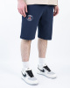 Шорты мужские Nike Paris (21037490) (M, Синий)